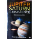 Jupiter Saturn Subsistence (English): Subsistence of Life by Tirupur S. GopalaKrishnan (GK)